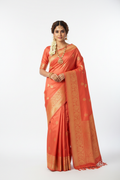 Coral Silk Saree - Front View